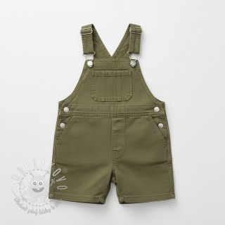 Ľan predpraný pickle