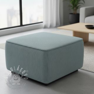 Menčester FUTE lichen