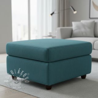 Menčester FUTE canard