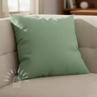 CANVAS mint