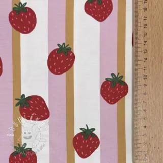 Úplet Fruits Strawberry white