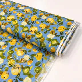 Viskóza RAYON POPLIN Fruity design A