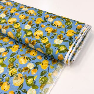 Viskóza RAYON POPLIN Fruity design A