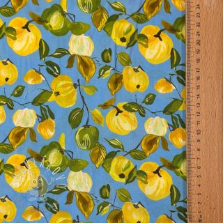 Viskóza RAYON POPLIN Fruity design A