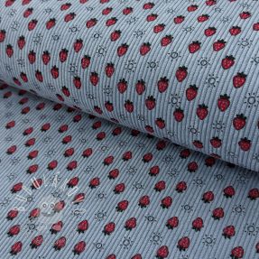 Menčester STRETCH Little strawberries old blue