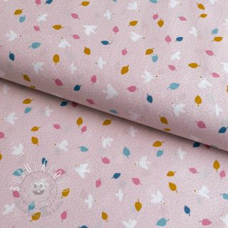 Bavlnená látka Little birds powder