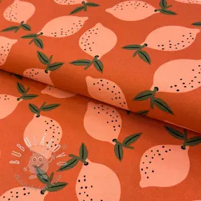 Dekoračná látka Fruits design F