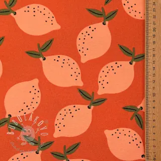 Dekoračná látka Fruits design F