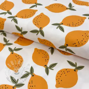 Dekoračná látka Fruits design E