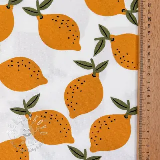 Dekoračná látka Fruits design E