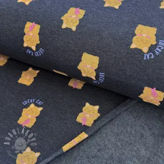 Teplákovina počesaná Lucky cat navy melange