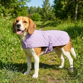 Prešívaná látka JACKIE purple
