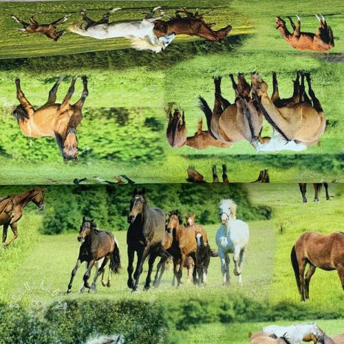 Dekoračná látka Horses in Meadow digital print
