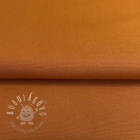 CANVAS rust
