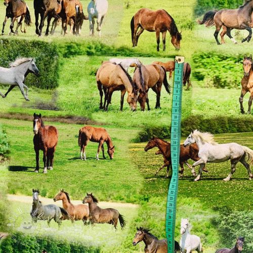 Dekoračná látka Horses in Meadow digital print