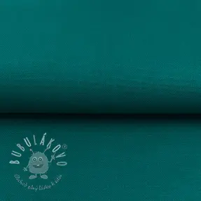 CANVAS dark cyan