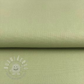 CANVAS dark mint