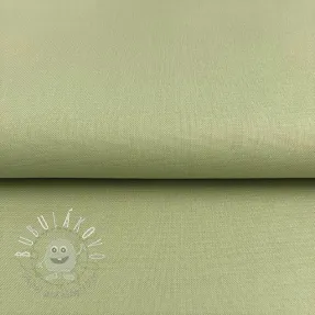 CANVAS dark mint
