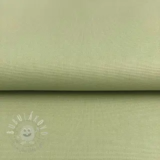 CANVAS dark mint