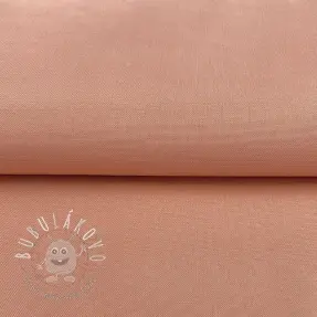 CANVAS blush