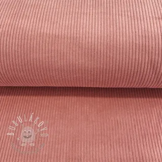 Menčester old rose