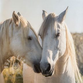 Umelá koža KARIA Horse love PANEL