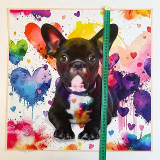 Umelá koža KARIA French Bulldog PANEL