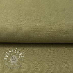 CANVAS olive