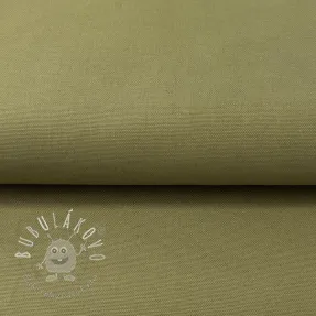 CANVAS olive