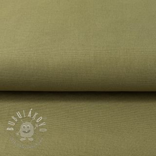 CANVAS olive