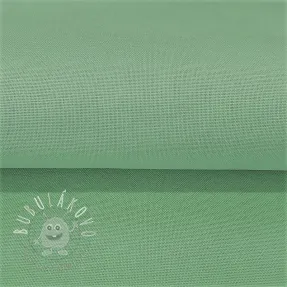 CANVAS mint