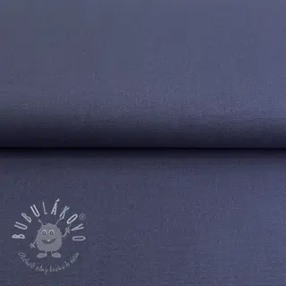 CANVAS dusty blue