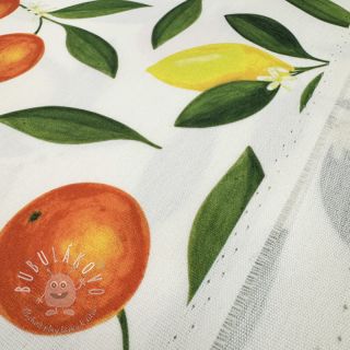 Dekoračná látka s teflonovou úpravou Citrus Fruit