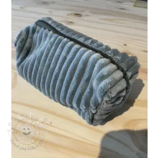 Menčester HANNIBAL lichen